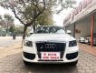 Audi Q5   2011 - Bán Audi Q5 2.0 AT sản xuất 2011, màu trắng, xe nhập 