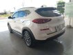 Hyundai Tucson   2019 - Bán Hyundai Tucson đời 2019, màu trắng, nhập khẩu