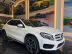 Mercedes-Benz GLA-Class   2016 - Cần bán gấp Mercedes GLA 250 đời 2016, màu trắng, nhập khẩu