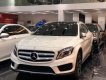 Mercedes-Benz GLA-Class   2016 - Cần bán gấp Mercedes GLA 250 đời 2016, màu trắng, nhập khẩu