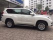 Toyota Land Cruiser 2010 - Xe Toyota Land Cruiser sản xuất 2010, xe nhập, giá tốt