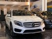 Mercedes-Benz GLA-Class   2016 - Cần bán gấp Mercedes GLA 250 đời 2016, màu trắng, nhập khẩu