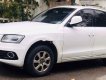 Audi Q5   2014 - Bán xe Audi Q5 đời 2014, màu trắng, nhập khẩu  