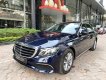 Mercedes-Benz E class 2019 - Cần bán Mercedes E class đời 2019, màu xanh lam