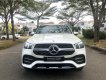 Mercedes-Benz GLE-Class GLE 450 4matic 2019 - Bán Mercedes GLE 450 4matic sản xuất năm 2019, màu trắng, odo 1.500km