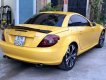 Mercedes-Benz SLK class   2007 - Cần bán gấp Mercedes SLK class năm sản xuất 2007, nhập khẩu nguyên chiếc