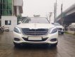 Mercedes-Benz S class  S400 2016 - Cần bán Mercedes S400 đời 2016, màu trắng, xe nhập