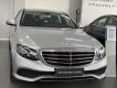 Mercedes-Benz E class 2017 - Bán xe Mercedes E class đời 2017, màu bạc