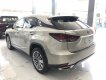 Lexus RX350 Luxury 2020 - Cần bán xe Lexus RX350 Luxury đời 2020, màu vàng, nhập khẩu nguyên chiếc