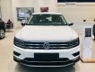 Volkswagen Tiguan AS Luxury 2019 - Volkswagen Tiguan AS Luxury