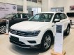 Volkswagen Tiguan AS Luxury 2019 - Volkswagen Tiguan AS Luxury