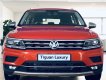 Volkswagen Tiguan Allspace 2019 - Volkswagen Tiguan Allspace - Đẳng cấp và đầy cảm xúc