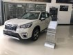 Subaru Forester   2019 - Mẫu xe thay đổi cách nhìn về ô tô của người Việt, Subaru Forester khuyến mãi siêu khủng 165tr + hỗ trợ phí trước bạ