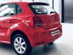 Volkswagen Polo Hatchback 2018 - Volkswagen Polo Hatchback, màu đỏ, nhập khẩu