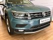 Volkswagen Tiguan AS Luxury 2019 - Bán xe Volkswagen Tiguan AS Luxury đời 2019, nhập khẩu