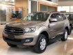 Ford Everest 2020 - Bán ô tô Ford đời 2020, nhập khẩu nguyên chiếc