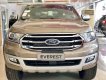 Ford Everest 2020 - Bán ô tô Ford đời 2020, nhập khẩu nguyên chiếc