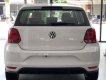 Volkswagen Polo   2019 - Volkswagen Polo Hatchback màu trắng, nhập khẩu nguyên chiếc