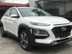 Hyundai Hyundai khác 2020 - Hyundai Kona-giảm giá sập sàn muôn vàn quà tặng