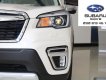 Subaru Forester GT Edition 2020 - Subaru Forester i-S Eyesight GT Edition nhập khẩu