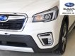 Subaru Forester GT Edition 2020 - Subaru Forester i-S Eyesight GT Edition nhập khẩu