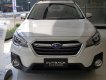 Subaru Outback 2020 - Subaru Outback nhập Nhật nguyên chiếc