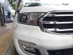 Ford Everest Titanium 2.0L 4x2 2020 - Bán ô tô Ford Everest Titanium 2.0L 4x2 đời 2020, màu trắng, nhập khẩu nguyên chiếc