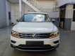 Volkswagen Tiguan Top line 2019 - Volkswagen Tiguan Topline màu trắng, nhập khẩu tặng quà hấp dẫn