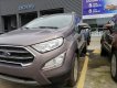 Ford EcoSport 2020 - Bán xe Ford EcoSport 1.5L AT Titanium đời 2020, xe mới