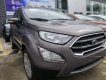 Ford EcoSport 2020 - Bán xe Ford EcoSport 1.5L AT Titanium đời 2020, xe mới