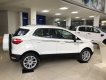 Ford EcoSport 1.0AT Titanium 2020 - Bán xe Ford EcoSport 1.0AT Titanium 2020, màu trắng