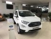 Ford EcoSport 1.0AT Titanium 2020 - Bán xe Ford EcoSport 1.0AT Titanium 2020, màu trắng