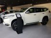 Mitsubishi Pajero Sport 2019 - Bán xe Mitsubishi Pajero Sport MT đời 2019, màu trắng, nhập khẩu chính hãng, giá 888tr