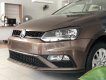 Volkswagen Polo Hatchback 2020 - Polo Hatchback nâu Toffer 2020 