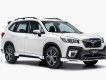 Honda CR V Forester 2020 - Bán Subaru Forester 2.0 nhập khẩu nguyên chiếc