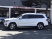 Mercedes-Benz GLS 2018 - Mercedes GLS350d 2018 đăng ký lần đầu T1/2019