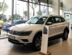 Volkswagen Tiguan 2020 - SUV Offroad Tiguan Luxury, khẳng định đẳng cấp, ưu đãi trước bạ đón tết 2021