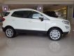 Ford EcoSport 2020 - Cần bán Ford EcoSport đời 2020, giá tốt