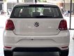 Volkswagen Polo 2020 - Volkswagen Polo Hachtback - Vua dòng xe đô thị - Nhập khẩu nguyên chiếc 2020