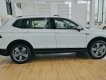 Volkswagen Tiguan 2019 - Volkswagen Tiguan xe Đức nhập khẩu nguyên chiếc - Mẫu SUV bán chạy nhất thế giới