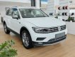 Volkswagen Tiguan 2019 - 4Volkswagen Tiguan xe Đức nhập khẩu nguyên chiếc - Mẫu SUV, bán chạy nhất thế giới, giảm ngay 120trieu, sẵn xe giao ngay