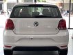 Volkswagen Polo 2020 - T4Volkswagen Polo Hatchback - vua dòng xe đô thị - nhập khẩu nguyên chiếc