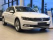 Volkswagen Passat 2018 - Volkswagen Passat Bluemotion High nhập khẩu nguyên chiếc, tặng 100% lệ phí trước bạ trong tháng 4