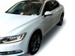 Volkswagen Passat 2018 - Volkswagen Passat Bluemotion High nhập khẩu nguyên chiếc, tặng 100% lệ phí trước bạ trong tháng 4