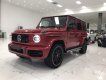 Mercedes-Benz G class 2021 - Mercedes_ Benz G63 AMG night package sản xuất 2021 mới