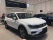 Volkswagen Tiguan Luxury 2019 - Volkswagen Tiguan khuyến mãi 100% phí trước bạ, giao xe ngay
