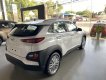 Hyundai Hyundai khác 2.0 Tiêu Chuẩn 2021 - Hyundai Kona - Ưu đãi hết ga