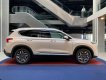 Hyundai Santa Fe 2021 - Hyundai Santa Fe 2021-mẫu xe bán chạy nhất phân khúc D