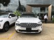 Hyundai Santa Fe 2021 - Hyundai Santa Fe 2021-mẫu xe bán chạy nhất phân khúc D