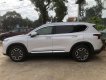 Hyundai Santa Fe 2021 - Hyundai Santa Fe 2021-mẫu xe bán chạy nhất phân khúc D